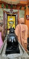 Brahmakalashabhisheka at Bhadrambikeshwar Temple, Manki-Madi (21 Feb 2025) 